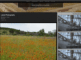 unexpectedfocus.com