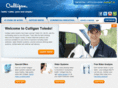 culligantoledo.com