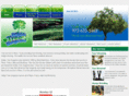 planotreeservice.com