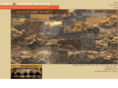 tncflooring.com
