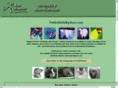 petartgiftsbyann.com