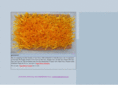 slrdsilkyarn.com