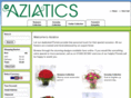 aziatics.com