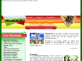 dhanwantriayurveda.com