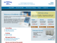 techminds4hire.com