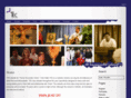 twincitiestec.com