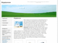 buegelpresse.org