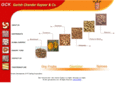 gckcdryfruits.com
