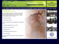 londonridingschool.com