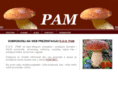 pam-cg.com