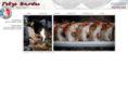 tokyogardenvisalia.com