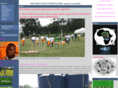 beyondyouthsport.org