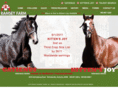 ramseyfarm.com