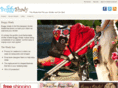 buggyshady.com