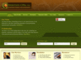 copperstatecpas.com