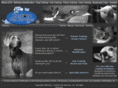 custompetservices.com