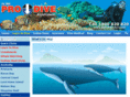 diveengine.com