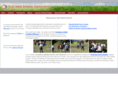 holyspiritsports.org