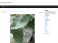 heartlandobserver.com