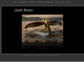 joshanon.com