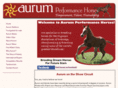 aurumperformancehorses.com