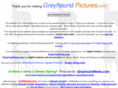 greyhoundphotos.com