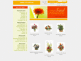 hummelflowers.com