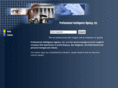 professionalintelligenceagency.com