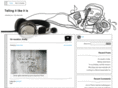 erwinoliva.com