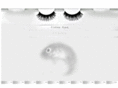fisheseyes.com