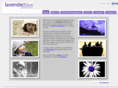 lavenderbluephotos.com