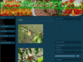 newbiefaq.com