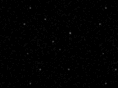 thespiritthatcares.com