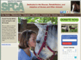 helpthehorse.com
