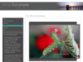 jerrydalrymple.com