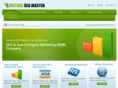 virtualseomaster.com