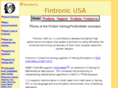 fintronic.com