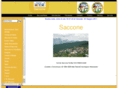 saccone.info