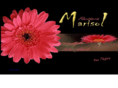 floristeriamarisol.com