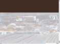 bmdsteel.com