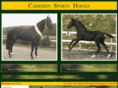 carridensportshorses.com