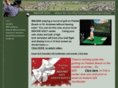 indoorgolf.com