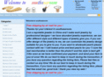 southsearoom.com