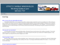 strictlymobilewindshields.com