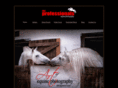 artofequinephotography.com
