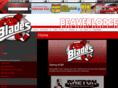 beaverlodgeminorhockey.com