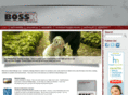 bosskdesign.com