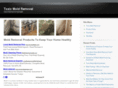 moldremovalsite.com
