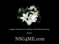 nsg4me.com