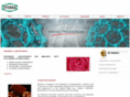 etoshapan.com